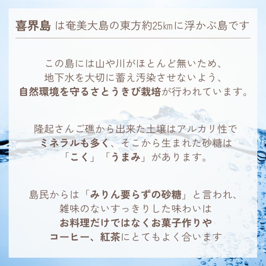 風と光 粗糖 500g 2袋 喜界島 さとうきび シュガー ザラ目 sugar