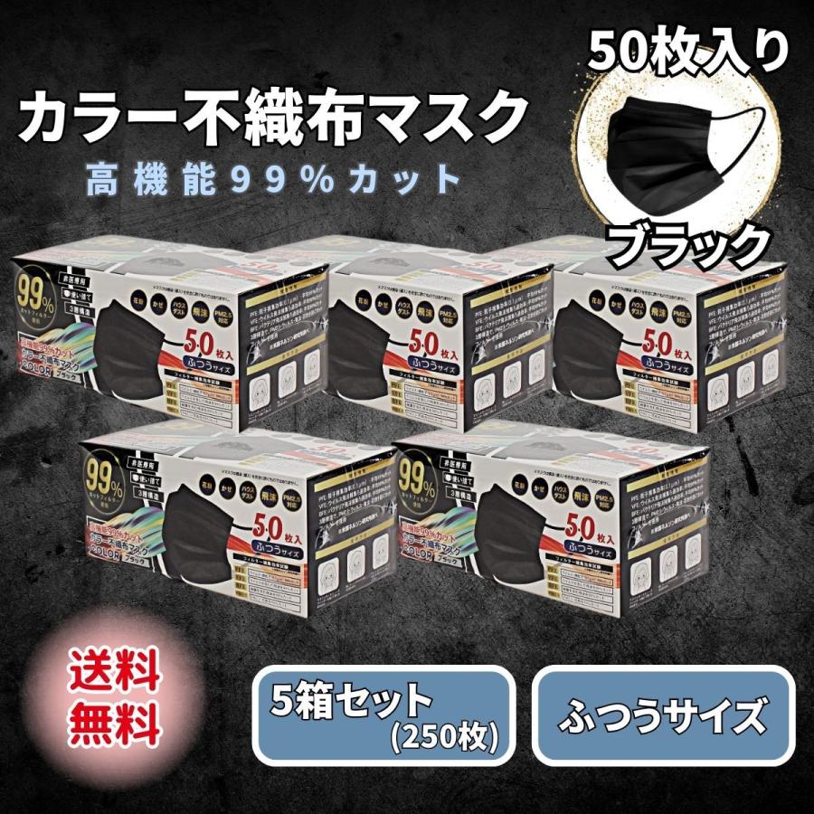 ヒロ・コーポレーション 黒マスク 不織布 50枚 ブラック カラー 5箱