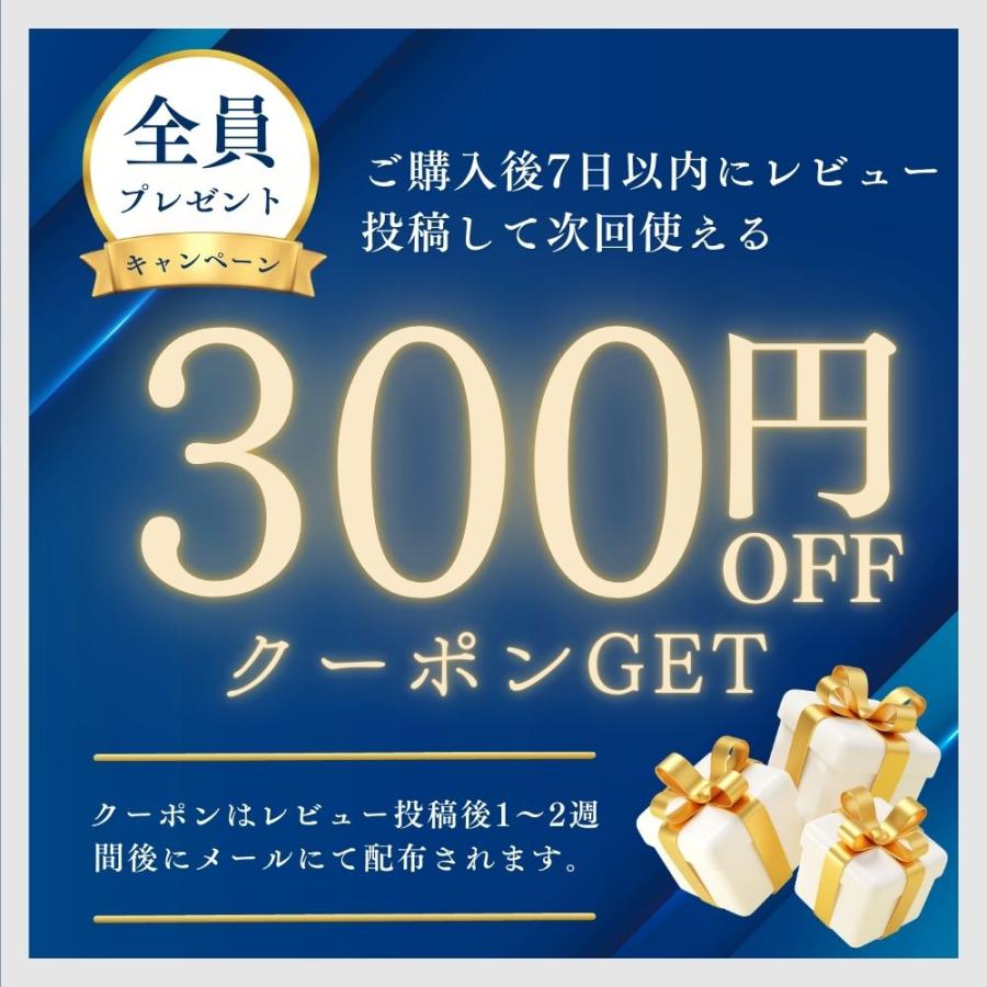 ヒロ・コーポレーション 黒マスク 不織布 50枚 ブラック カラー 6箱