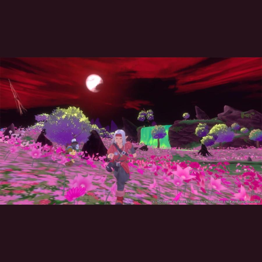 Nintendo Switch ドラゴンクエストモンスターズ3 魔族の王子と Nintendo Switch ドラゴンクエストモンスターズ3 魔族の王子と