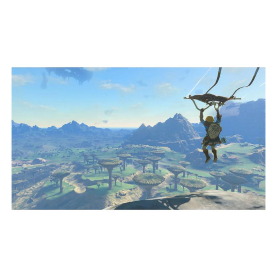 Nintendo Switch ゼルダの伝説 ティアーズオブザキングダム Nintendo Switch ゼルダの伝説 ティアーズオブザキングダム