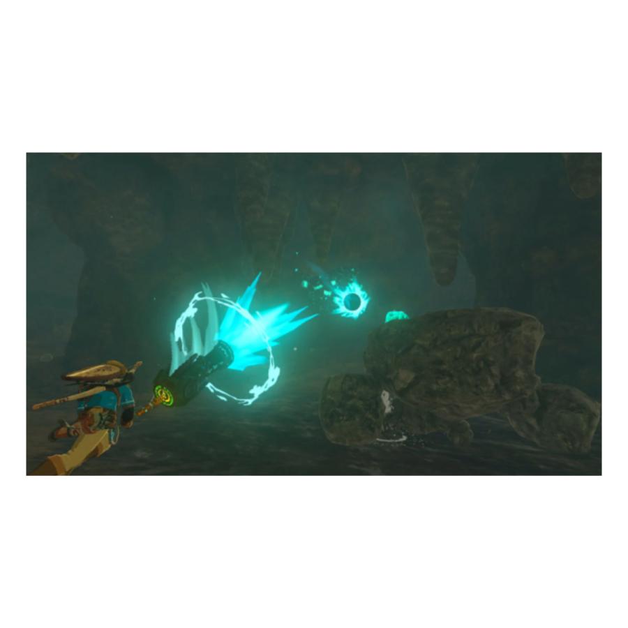 Nintendo Switch ゼルダの伝説 ティアーズオブザキングダム Nintendo Switch ゼルダの伝説 ティアーズオブザキングダム