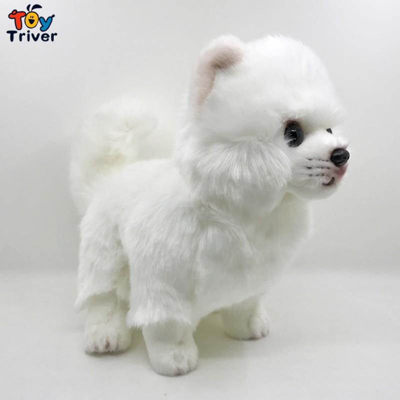 ポメラニアン ぬいぐるみ 犬 グッズ クッション わんちゃん アニマル 動物 かわいい Kj 笑売太郎 ヤフー店 通販 Yahoo ショッピング