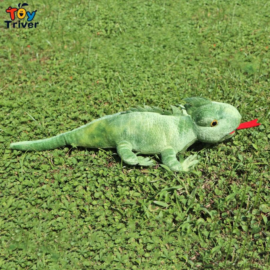 トカゲ ぬいぐるみ グッズ クッション 爬虫類 雑貨 Mm2 笑売太郎 ヤフー店 通販 Yahoo ショッピング