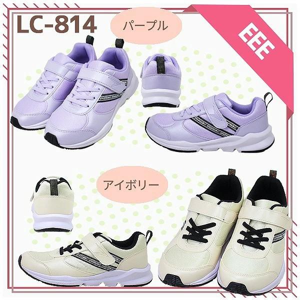2足セットで 6996円 瞬足 女の子 シュンソク アキレス 女児 ジュニア 