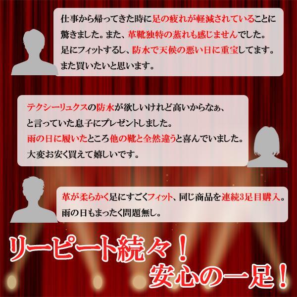 【赤字覚悟!!】アシックス商事 テクシーリュクス 防水 ビジネスシューズ ゴアテックス 本革 全天候型 革靴 メンズ｜shobido｜04