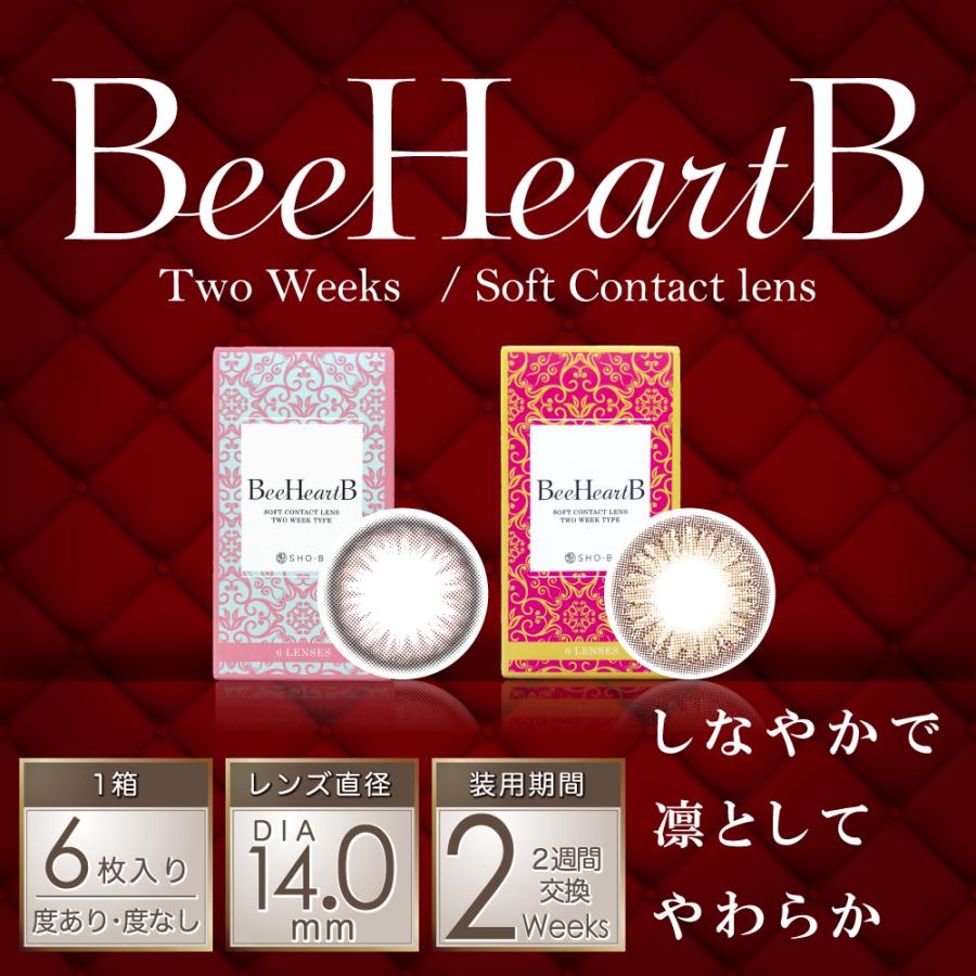 選べる2箱 カラコン 2week ビーハートビー 6枚×2箱 14.0mm 度あり 度なし ナチュラル 人気 コスパ BeeHeartB ナチュラル 2週間｜shobidoonlinestore｜06