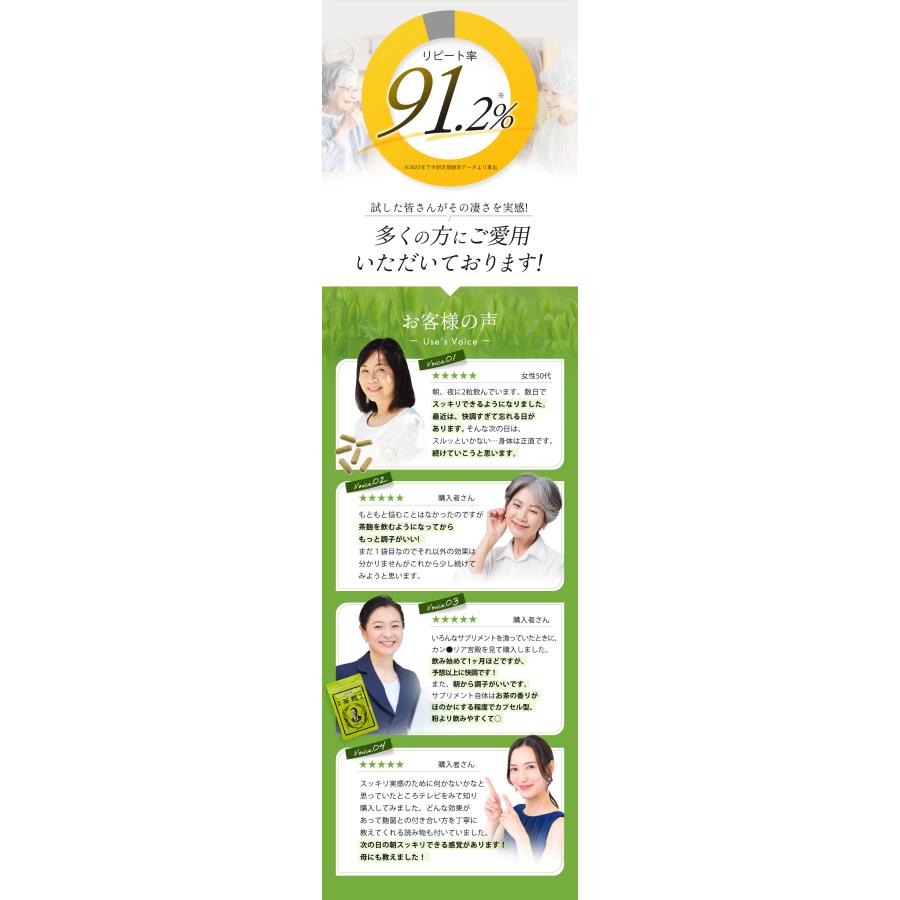 茶麹 乳酸菌入り サプリメント 62粒 酵素 麹 サプリ 乳酸菌 ダイエット 