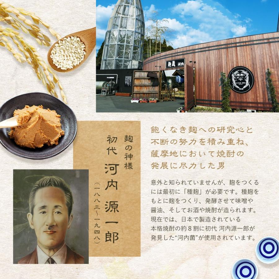 初回購入者限定 セール 河内菌本舗 茶麹 乳酸菌入り サプリメント 30粒