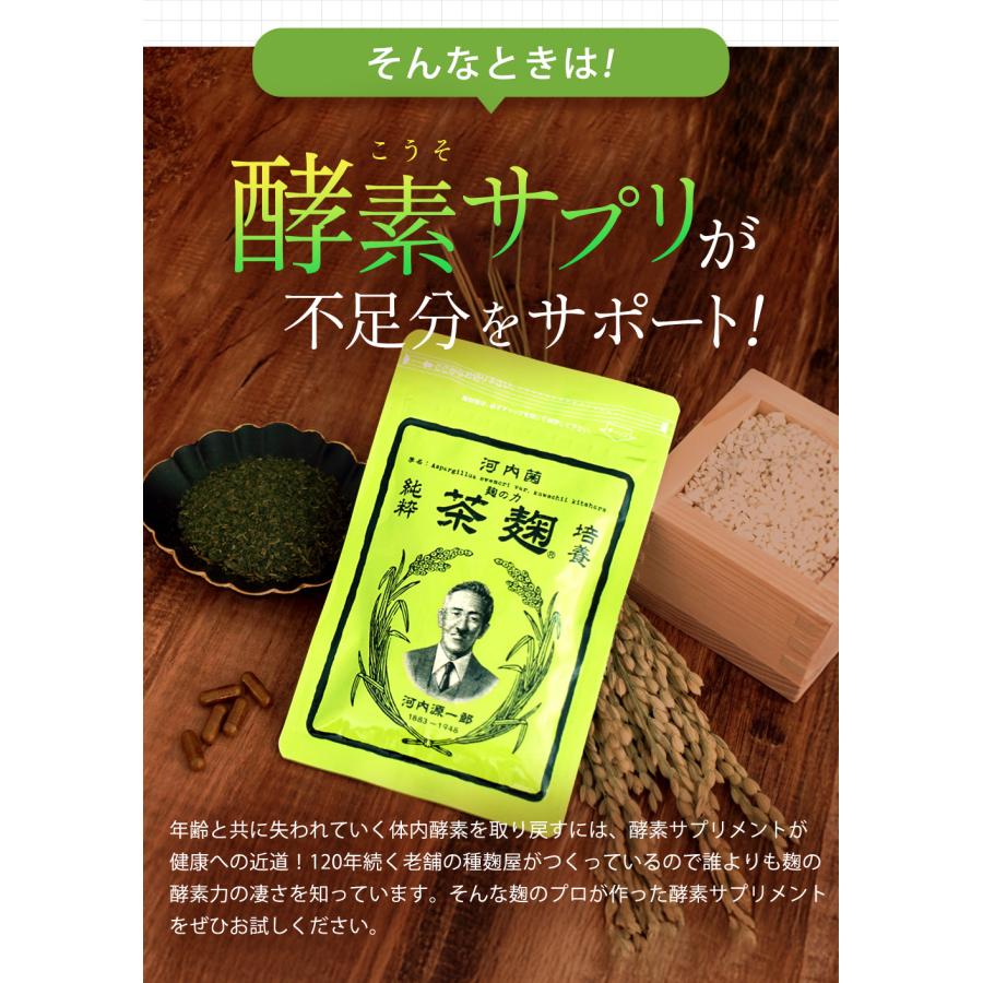 初回購入者限定 セール 河内菌本舗 茶麹 乳酸菌入り サプリメント 30粒
