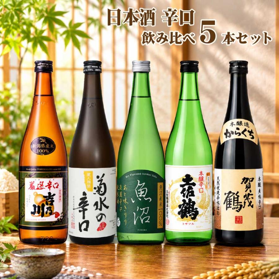 送料無料 日本酒 辛口 飲み比べセット 720ml×5本 日本酒セット 清酒