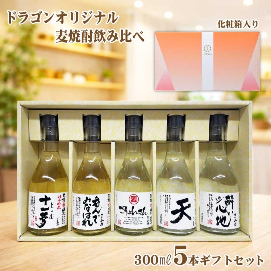 送料無料 むぎ焼酎 飲み比べセット 300ml×5本 焼酎セット ドラゴン