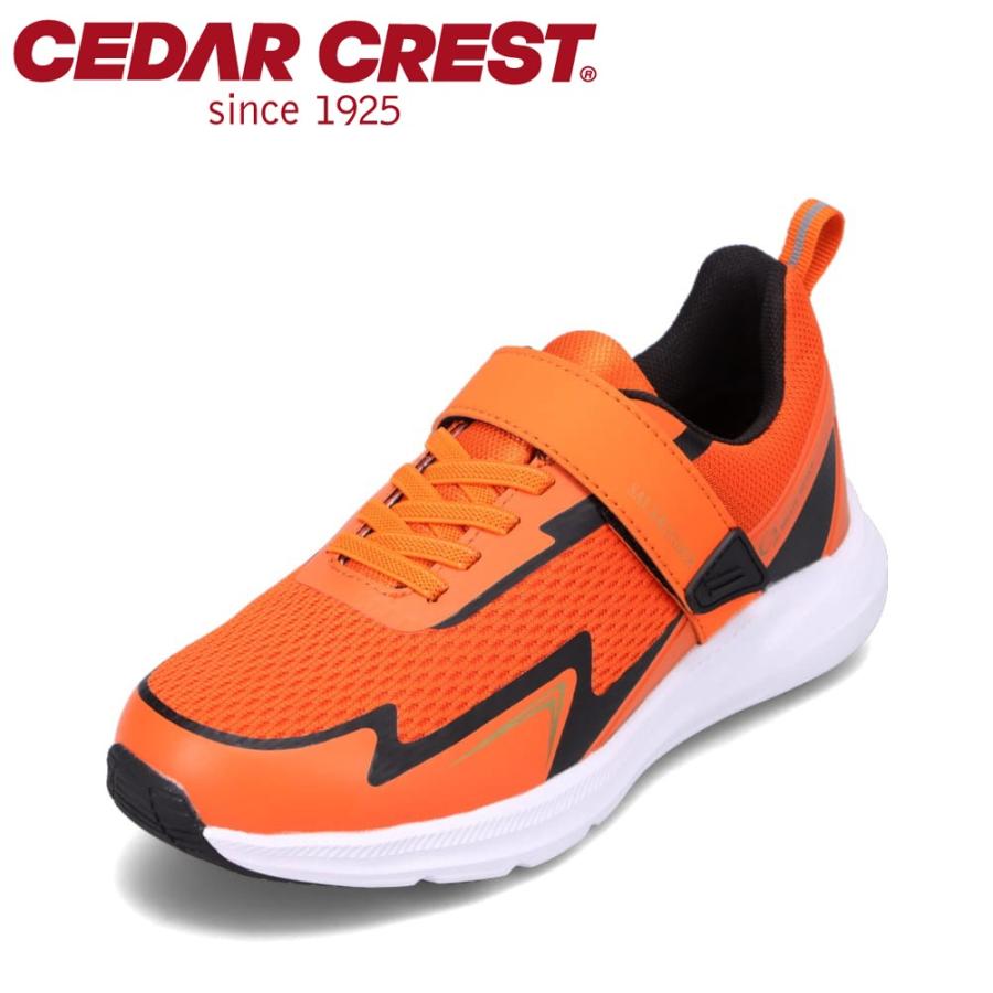 CEDAR CREST セダークレスト CC-3119 キッズ スニーカー CEDAR CREST セダークレスト CC-3119 キッズ スニーカー