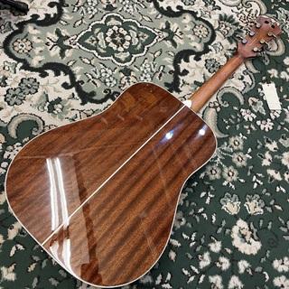 n*b様 D'Angelico Premier アコースティックギター Amazon | D'Angelico Premier Lexington, Trans Black Cherry