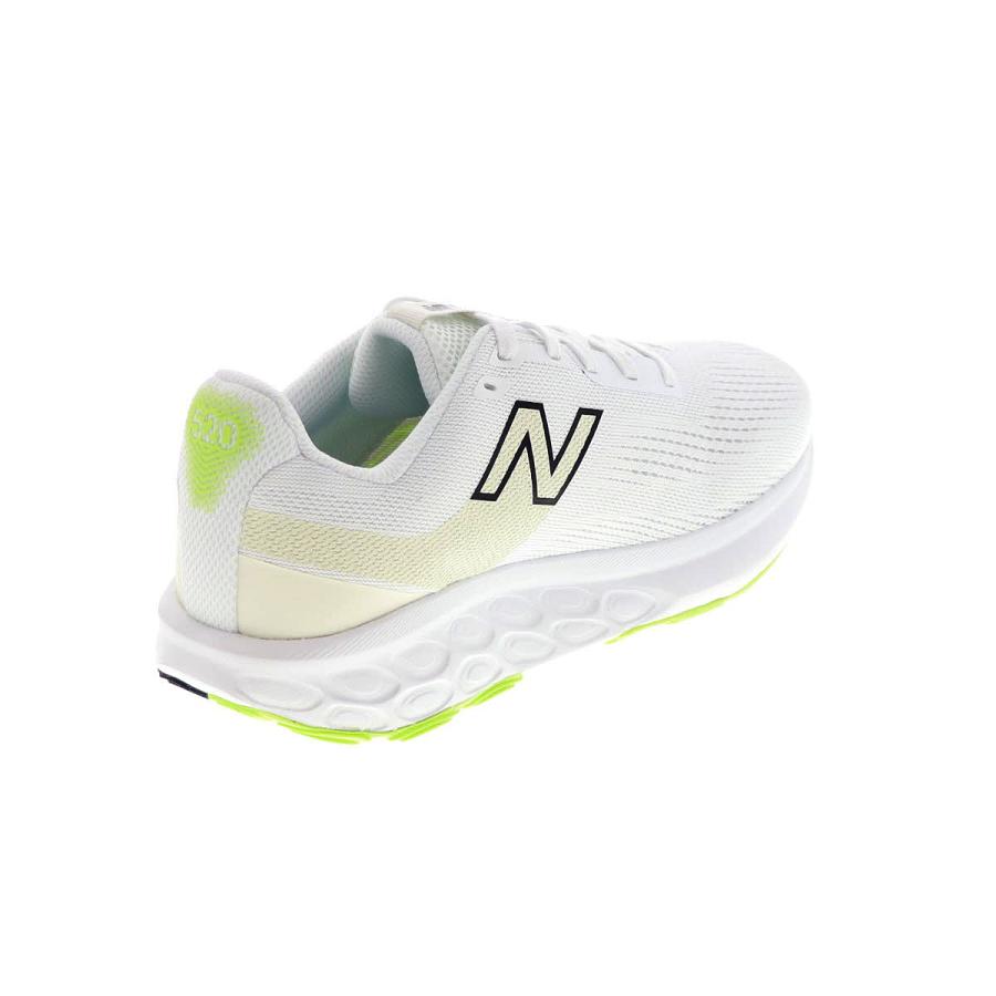 New Balance（ニューバランス） new balance FRESH FOAM 520 V9 メンズ