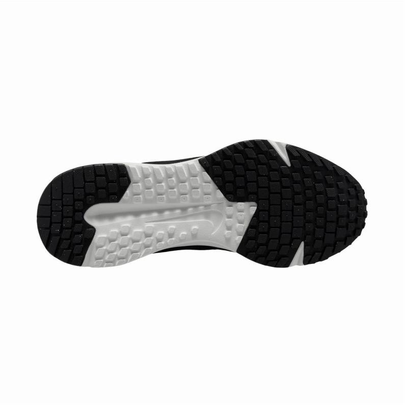 NIKE（ナイキ） ウィメンズ ランニング シューズ W RUN DEFY