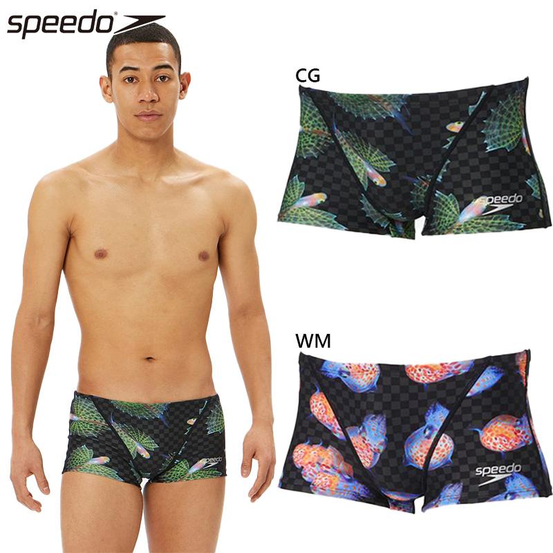 speedo スピード メンズ プランクトンターンズボックス 水着 speedo スピード メンズ プランクトンターンズボックス 水着