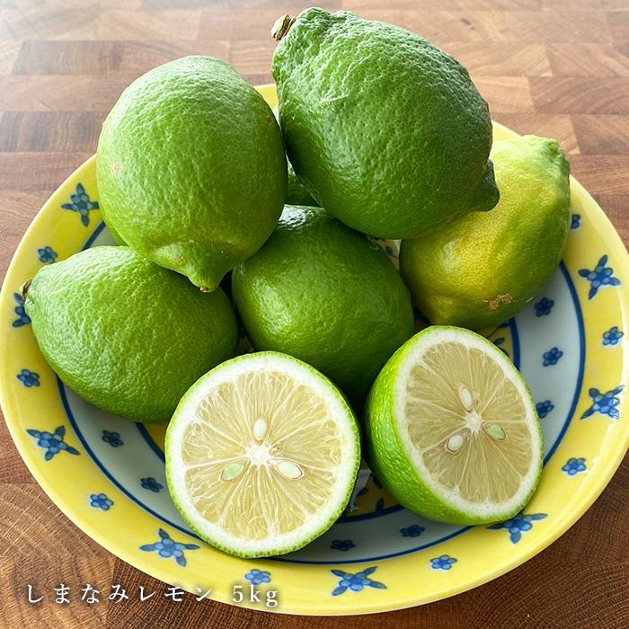 広島県瀬戸田産レモン 1.3kg以上！