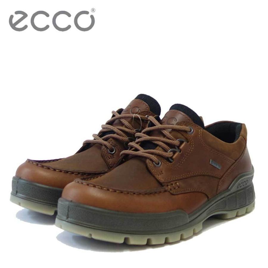 エコー ECCO TRACK25 MENS LOWCUT GTX バイソン 831714 52600（メンズ 