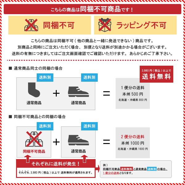 LOGOS ロゴス 折りたたみテーブル コンパクトローテーブル 10050