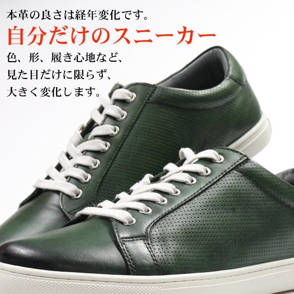 スニーカー メンズ 靴 ローカット 緑 赤 グリーン レッド 本革 レザー SENS SC-2000｜shoesbase｜04
