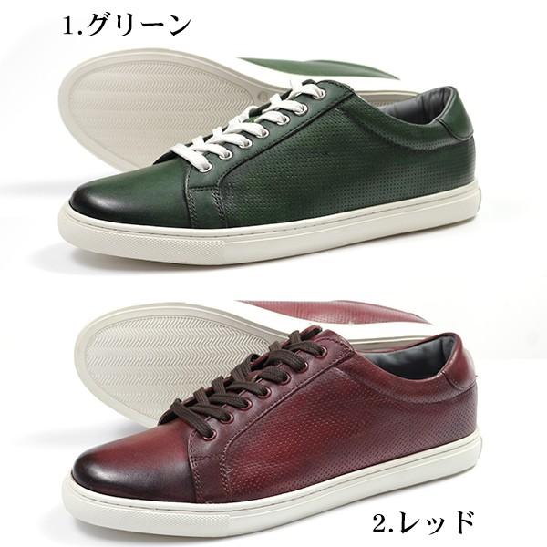 スニーカー メンズ 靴 ローカット 緑 赤 グリーン レッド 本革 レザー SENS SC-2000｜shoesbase｜06