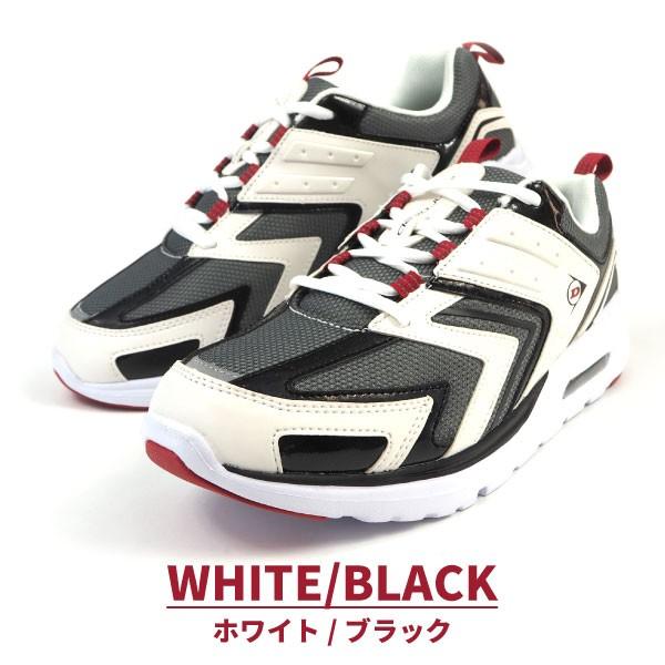 プロフ必読 ZUN - 燕石博物誌 ～ Dr.Latency's Freak Report. | Deezer