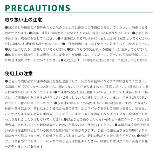 LOGOS ロゴス 保冷剤 氷点下パックGT-16℃・ハード600g 81660612 アウトドア用品 | LOGOS | 04