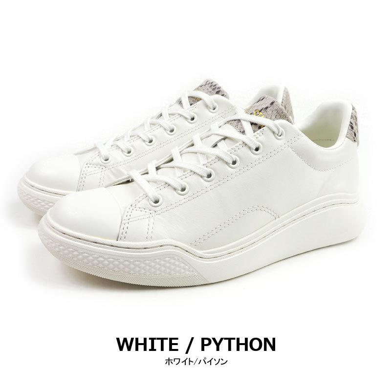 靴 CONVERSE ALL STAR COUPE POINTUE OX 24cm ALL STAR CONVERSE コンバース 白スニーカー COUPE COURBE POINTPYTHON