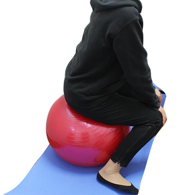 エクササイズボール 55cm レッド フットポンプ付 ソフタッチ バランス
