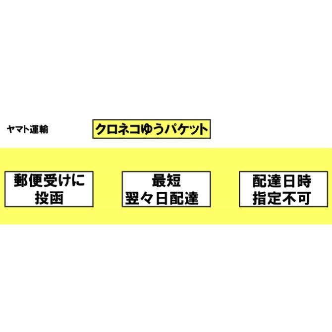 BENESU アーチライフソックス 外反母趾 ブラック ベネシュ BENESU アーチライフソックス 外反母趾 ブラック ベネシュ