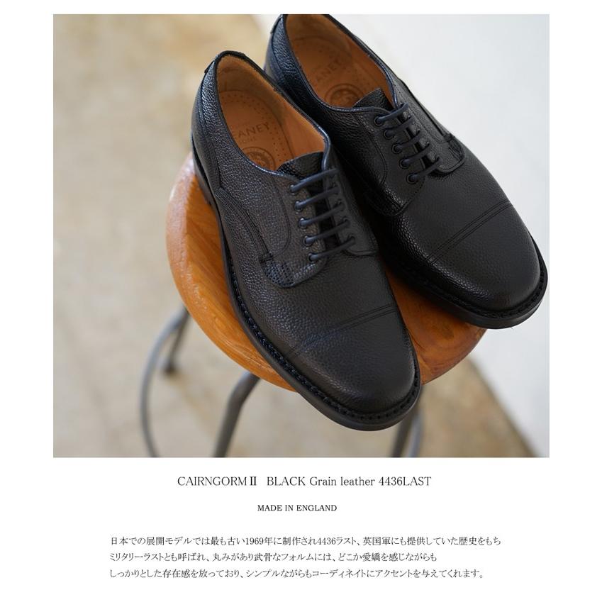 通常 1本タイプ 【保存袋付】CHEANEY チーニー CAIRNGORM ケンゴン