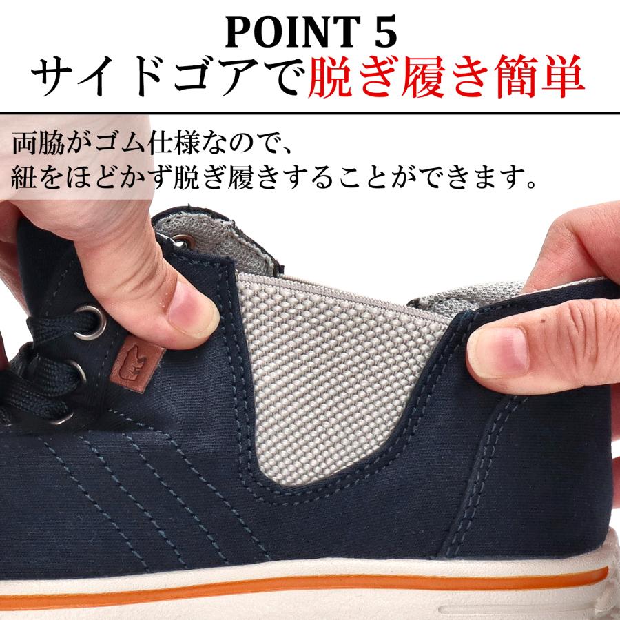 Golden Bear（ゴールデンベア） 【ゴールデンベア】Golden Bear