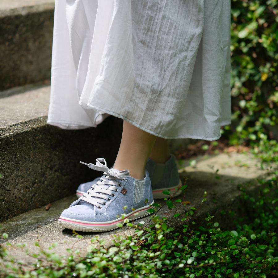 Golden Bear（ゴールデンベア） 【ゴールデンベア】Golden Bear