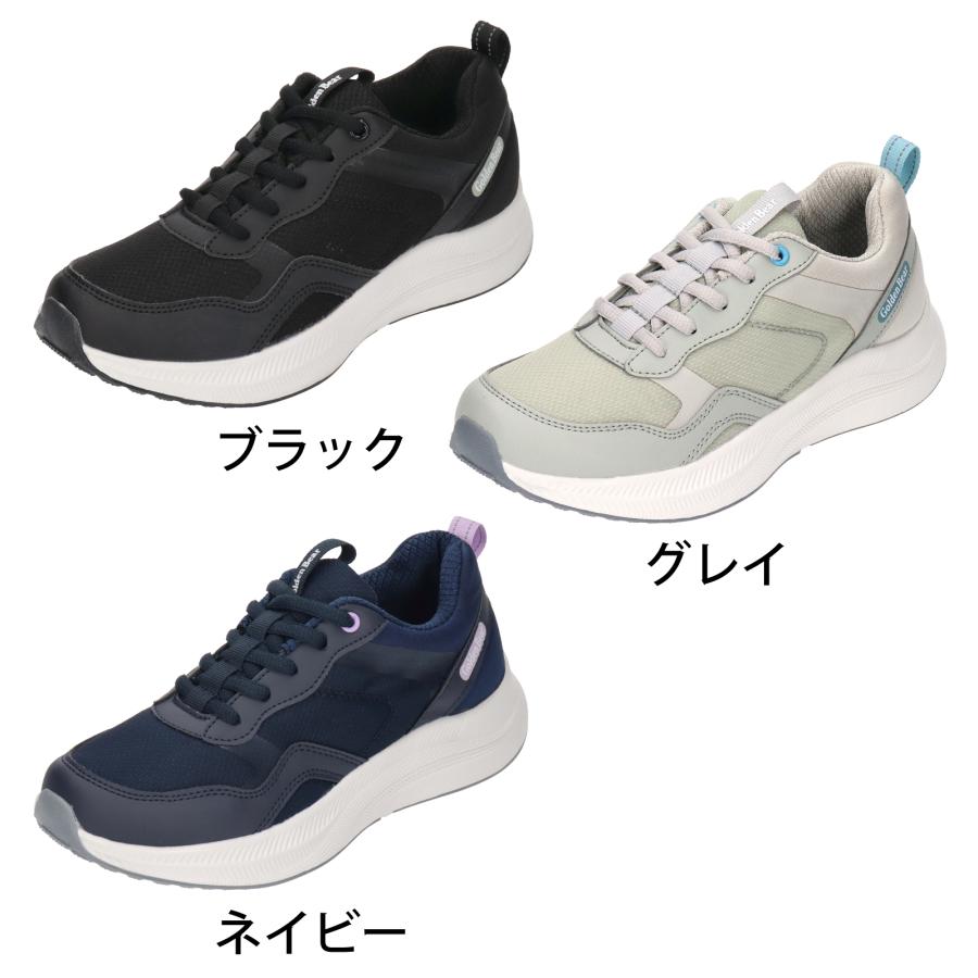 Golden Bear（ゴールデンベア） 【ゴールデンベア】Golden Bear