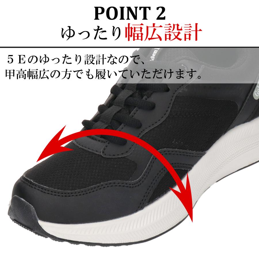 Golden Bear（ゴールデンベア） 【ゴールデンベア】Golden Bear