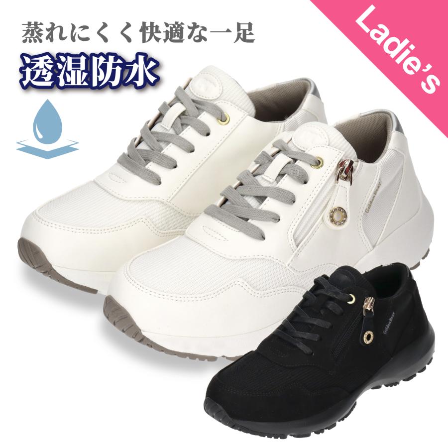 Golden Bear（ゴールデンベア） 【ゴールデンベア】Golden Bear