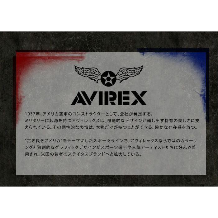 AVIREX アビレックス DESTROYER デストロイヤー アヴィレックス 本革