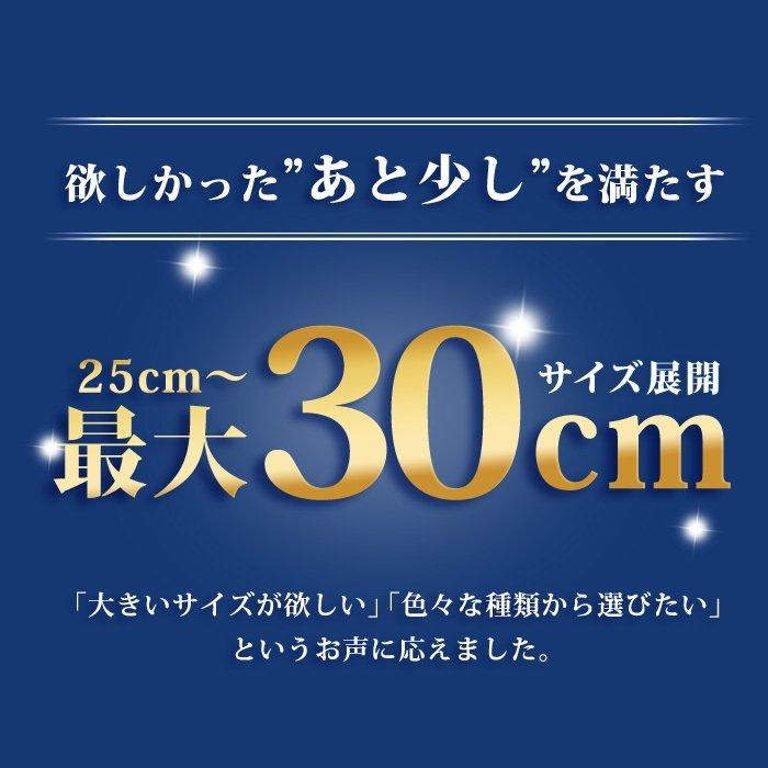 ビジネスシューズ 2足セット 16種類 選べる福袋 靴 革靴 メンズ スリッポン モンクストラップ ロングノーズ ローファー フォーマル 幅広 3EEE 紳士靴｜shoesquare｜05