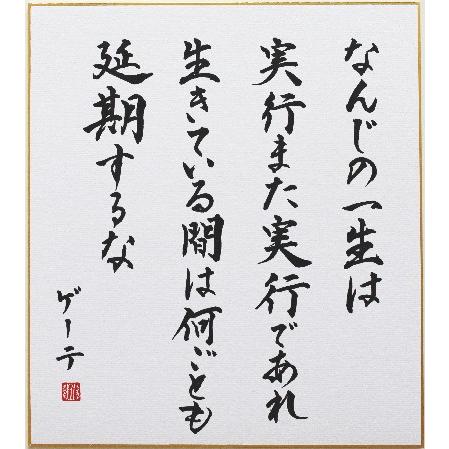 偉人の名言 なんじの一生は実行また実行であれ 生きている間は何ごとも延期するな 手書き色紙 Meigen1801 書玄堂 通販 Yahoo ショッピング