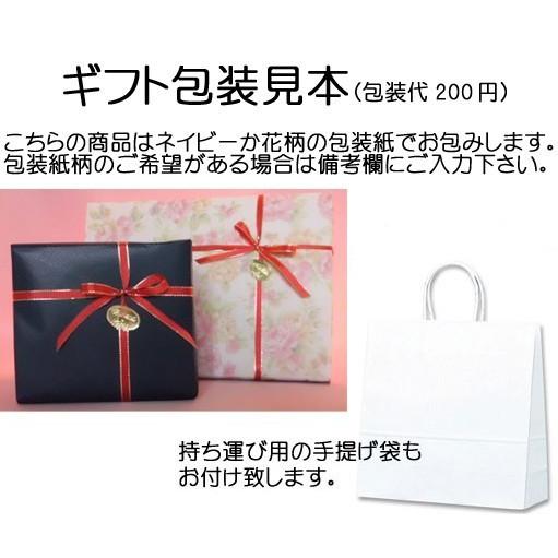 偉人の名言 明日死ぬかのように生きよ 永遠に生きるかのように学べ 手書き色紙 Meigen1805 書玄堂 通販 Yahoo ショッピング