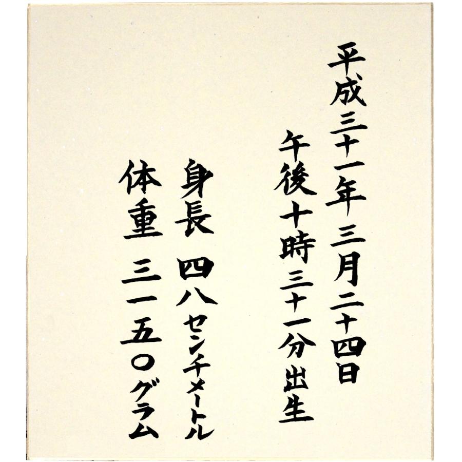 命名書色紙（たとう付き）／ピンク／裏面に身長・体重もお書き致します