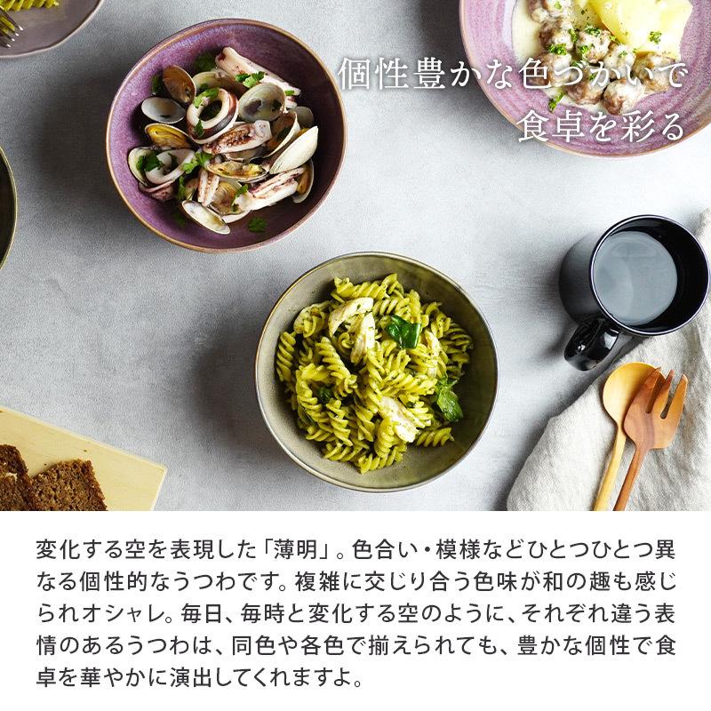 中鉢 楕円窯変 16.8cm 薄明ボウル 鉢 お皿 皿 和食器 おしゃれ 食器