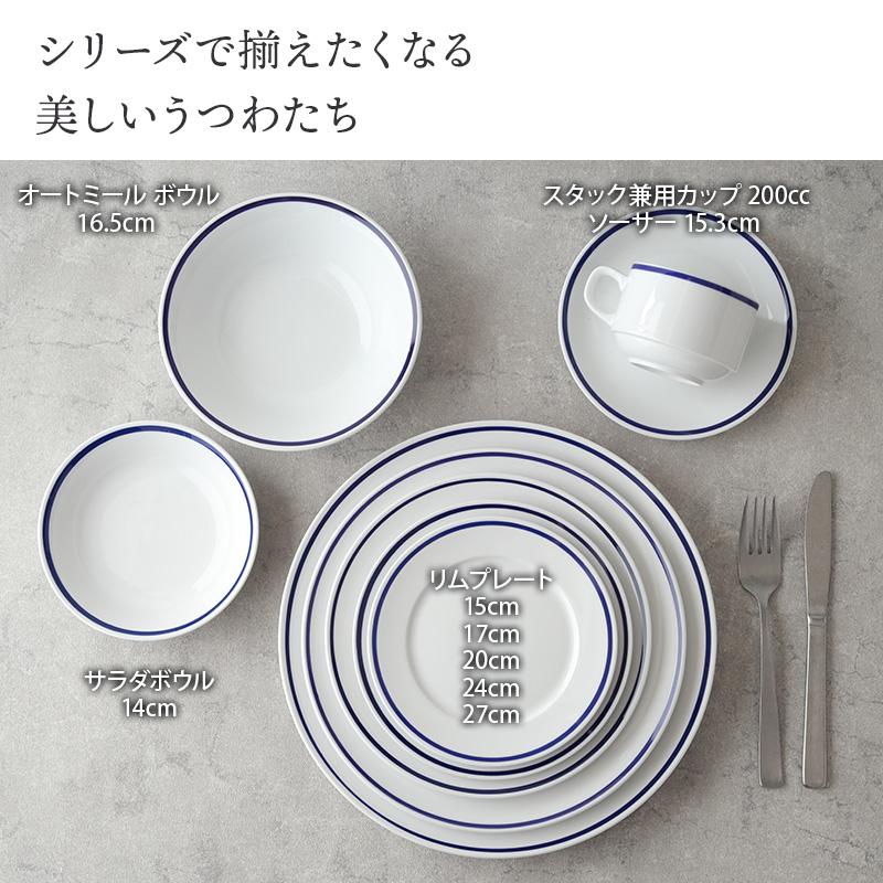 リムプレート 27cm インディゴライン 高強度磁器 プレート お皿 皿