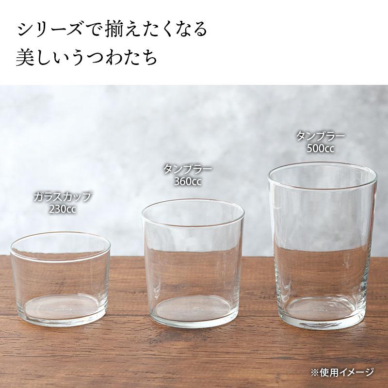 タンブラー 500cc SIDRA シドラ レンジ・食洗機OK グラス コップ