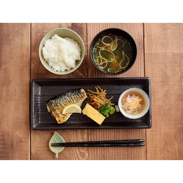 和食器サンマ皿 28cm 長角皿 大皿 プレート お皿 さんま皿 和食器サンマ皿 28cm 長角皿 大皿 プレート お皿 さんま皿