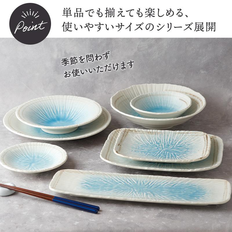 大皿 ＆ 取り皿 2人用 プレート 4枚セット 2サイズ×各2枚 雫 和食器