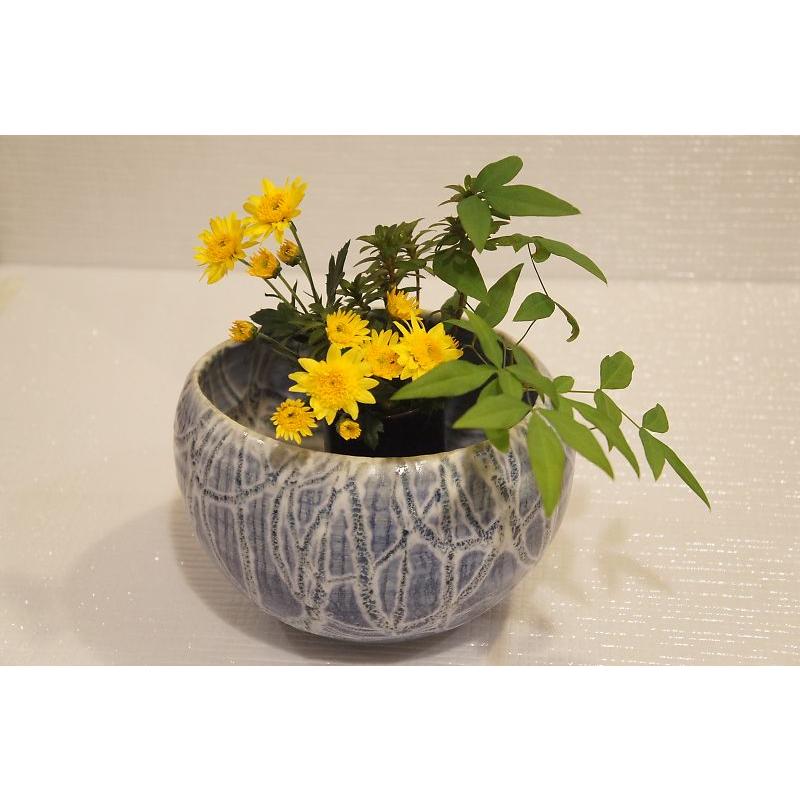 青　花生 |  | 03