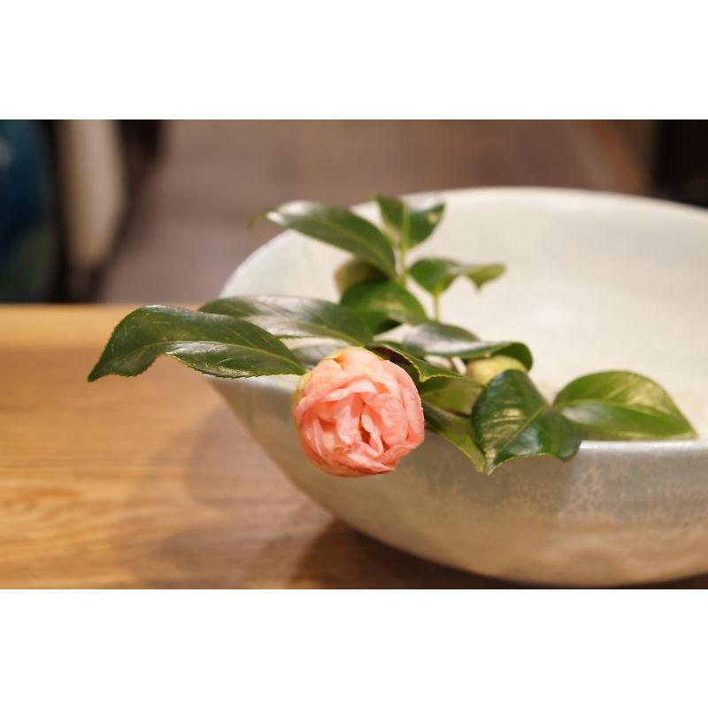 青磁色　花生 |  | 05