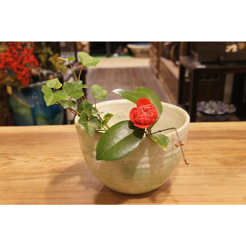 緑釉　花生 |  | 03